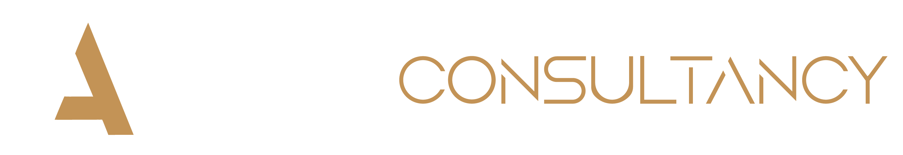 The Ask Consultancy